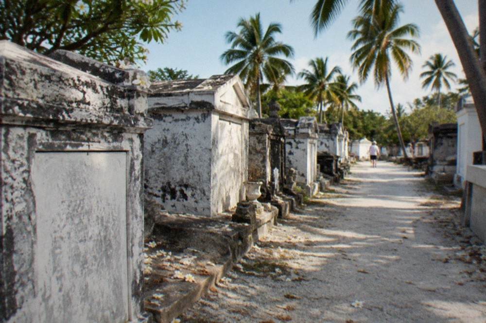 Rows of weathered above-ground crypts and old headstones under palm trees