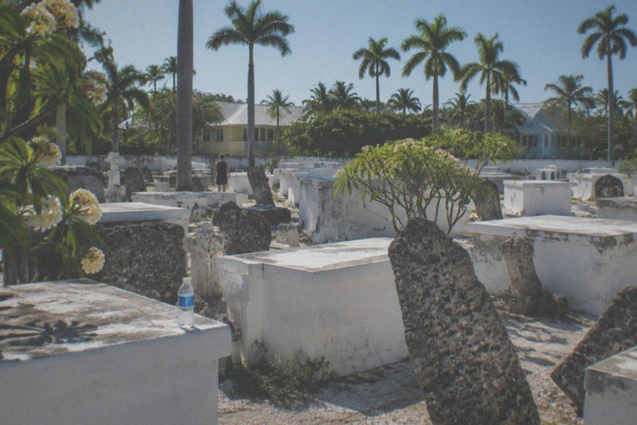 Old weathered headstones and palm trees on a sunny hillside cemetery