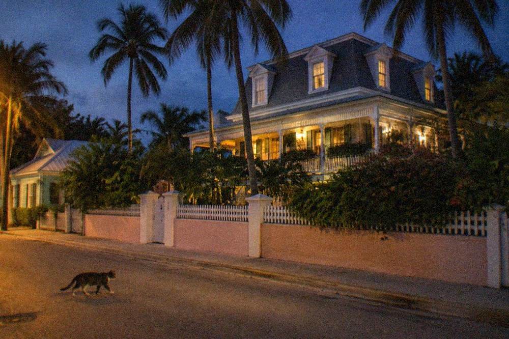 Historic Old Town street corner in Key West lit at night with pastel conch houses and palm trees