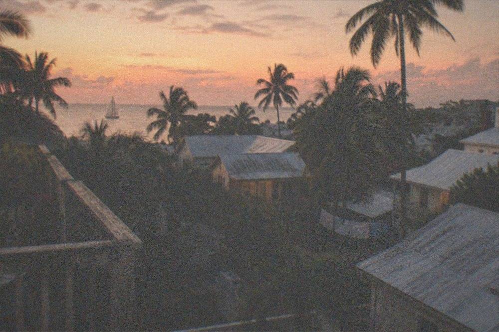Palm trees silhouetted against a dusk sky over old Key West rooftops