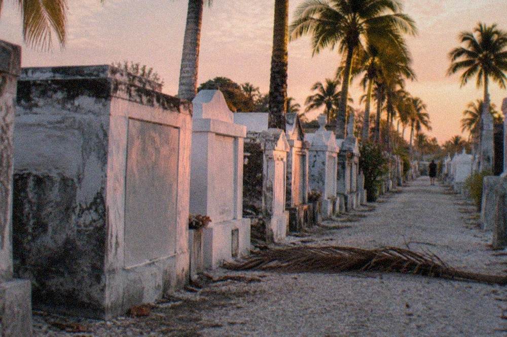 Rows of weathered above-ground crypts and tilted headstones under palm trees at Key West Cemetery