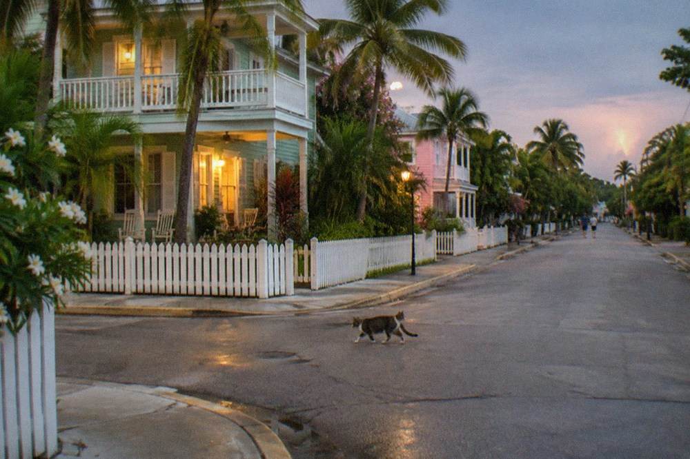 A narrow Old Town lane at night with pastel conch houses and warmly lit porches