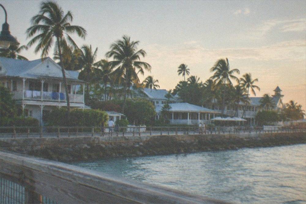 A crowd-free view of Key West rooftops and palm trees in late afternoon light