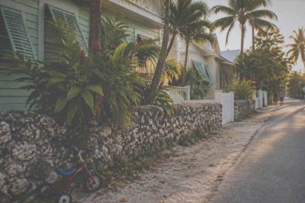 A quiet Key West residential street with conch houses and palm trees in golden light